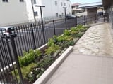 豊田市　植栽施工例