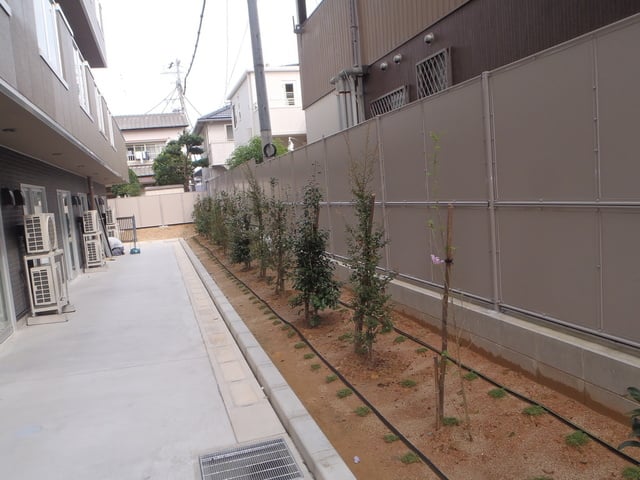 豊田市　植栽施工例